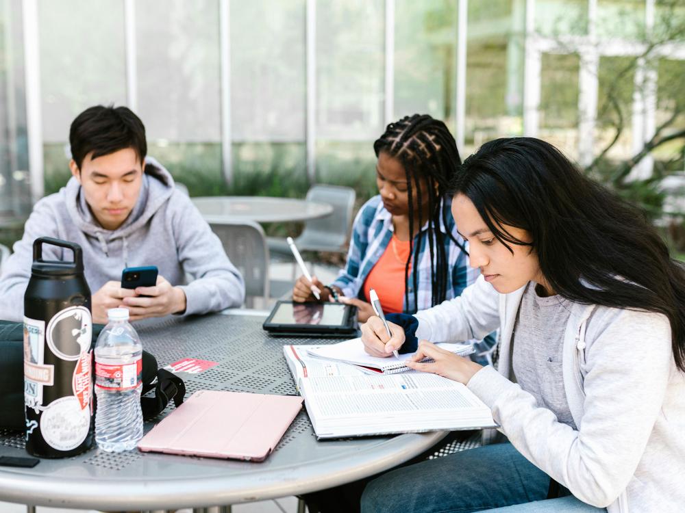 Students studying at a table