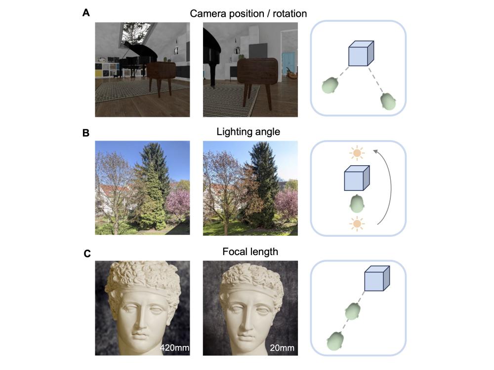 Images of a 3D-generated piano and chair from different camera positions, trees under different lighting angles, and a bust of a head at different zooms