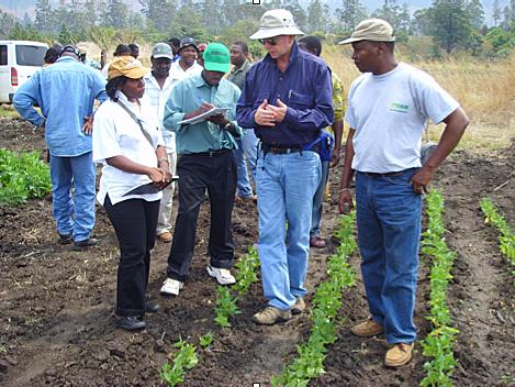 People standing in a field