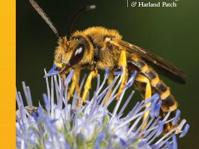 Pollinator book