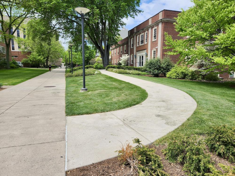 A paved pathway leading to the entrance of a building.