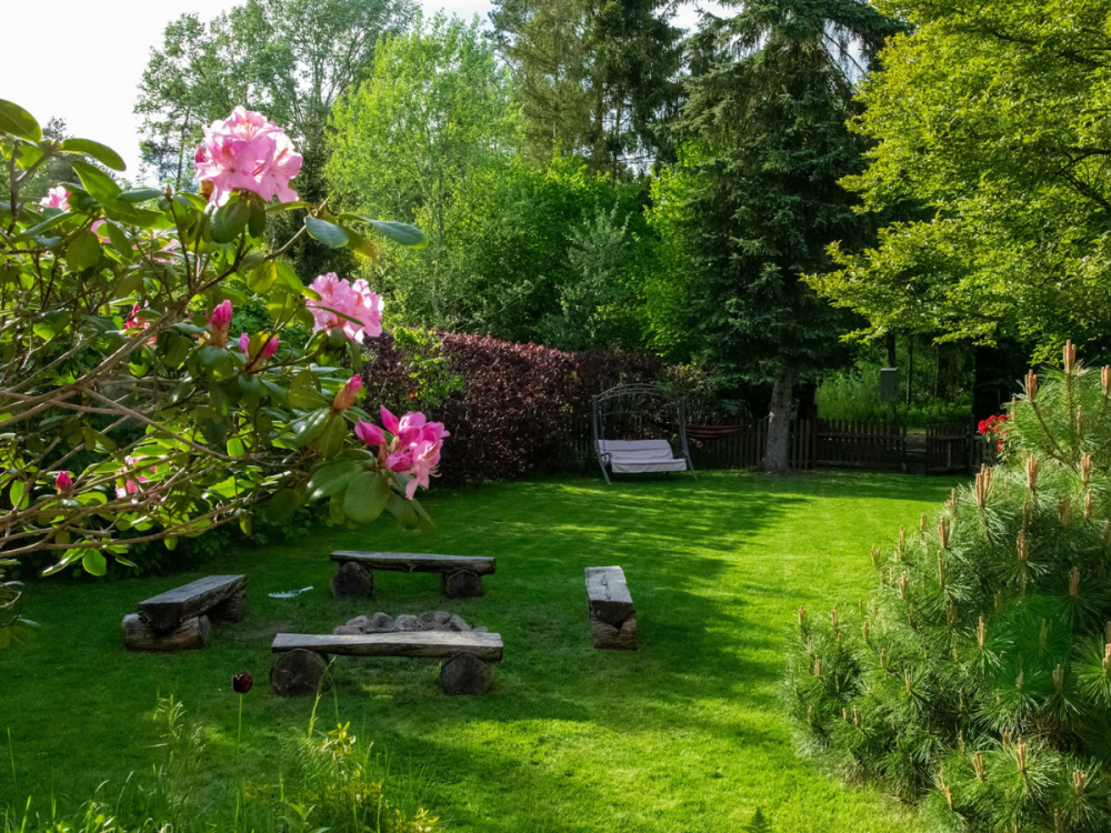 A backyard with trees and a picnic table