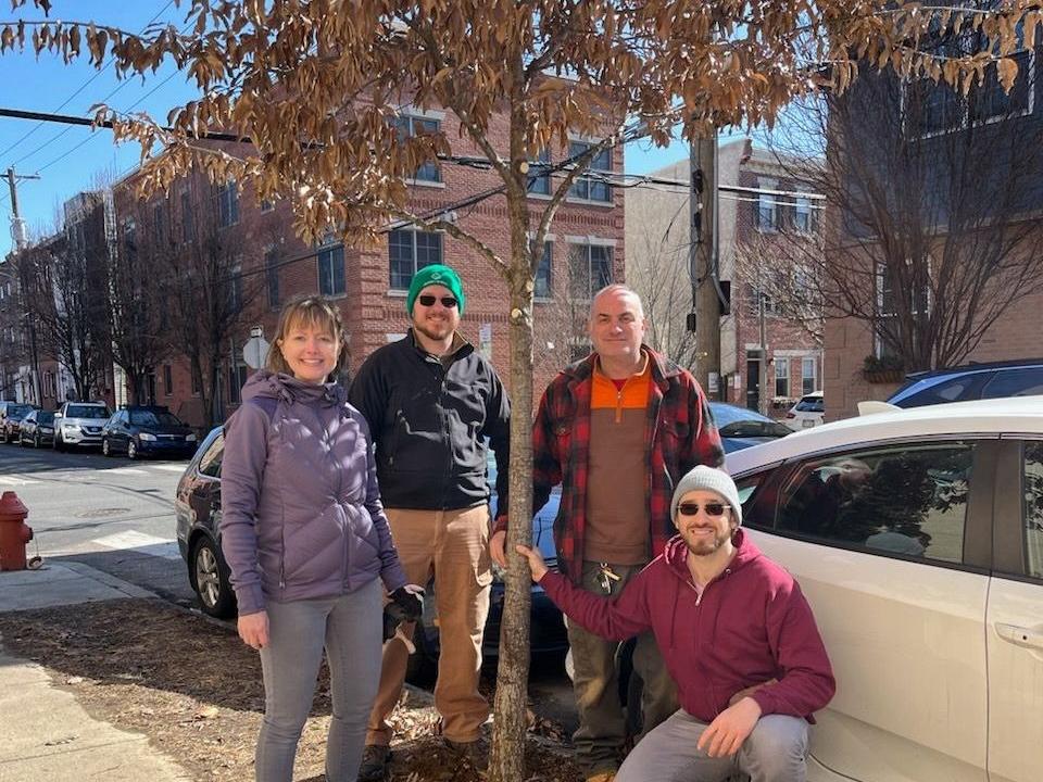 Four people pose around a tree in front of a city street