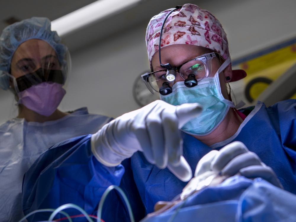 A surgeon and a colleague perform surgery on a patient. Both wear caps, masks, gowns and glasses.