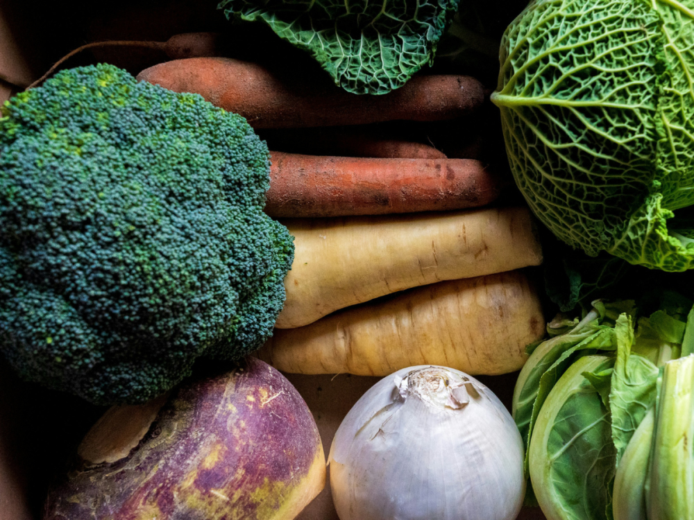 Close up photo of various vegetables