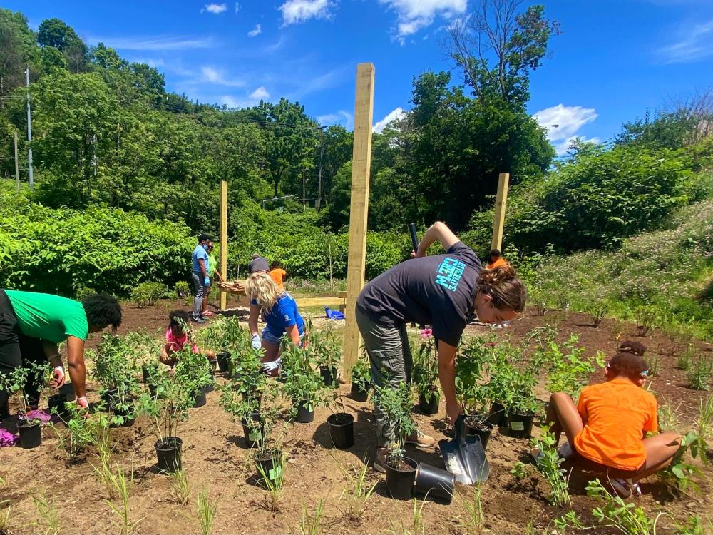 Adults and children working in a garden on a sunny day.