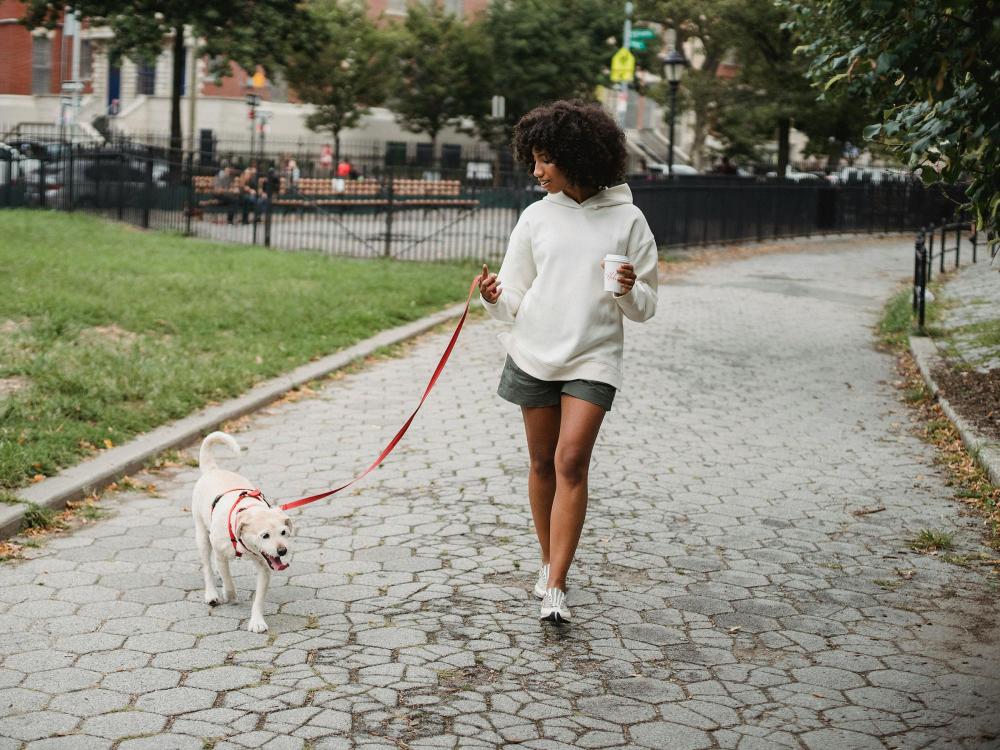 a pedestrian walking a dog_active transportation
