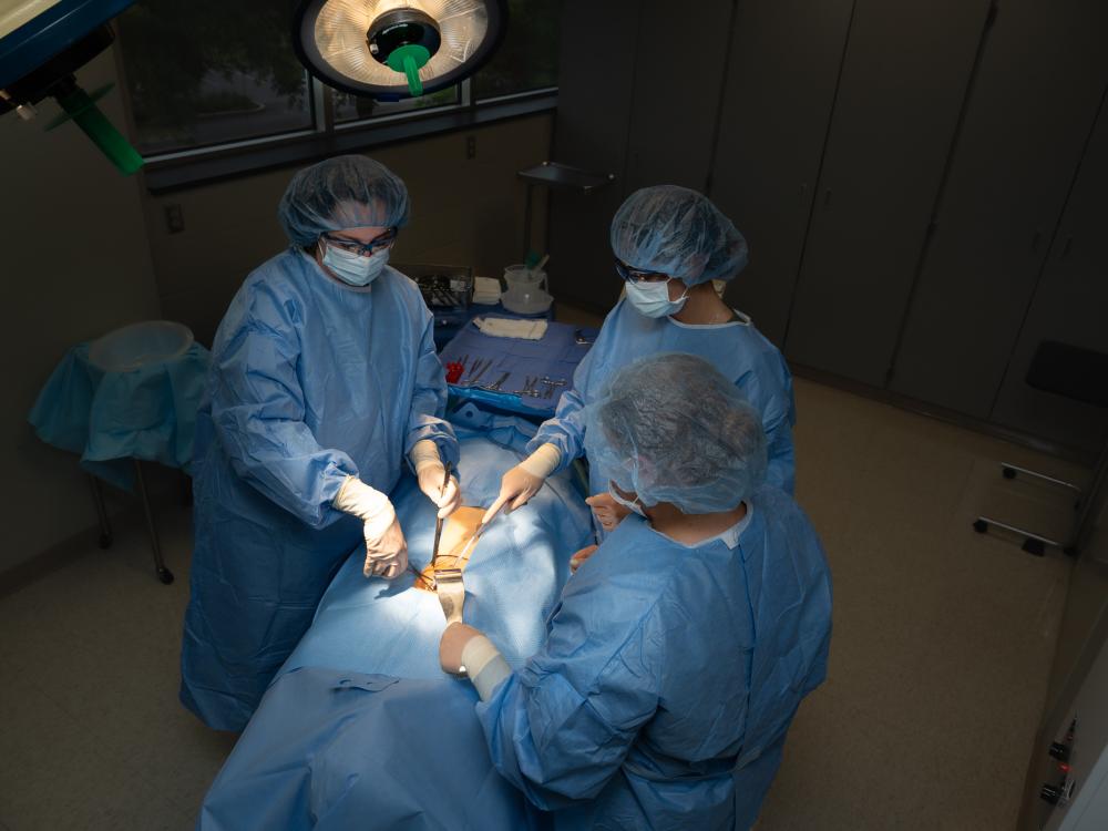 Two students in blue scrubs practice a mock operating room