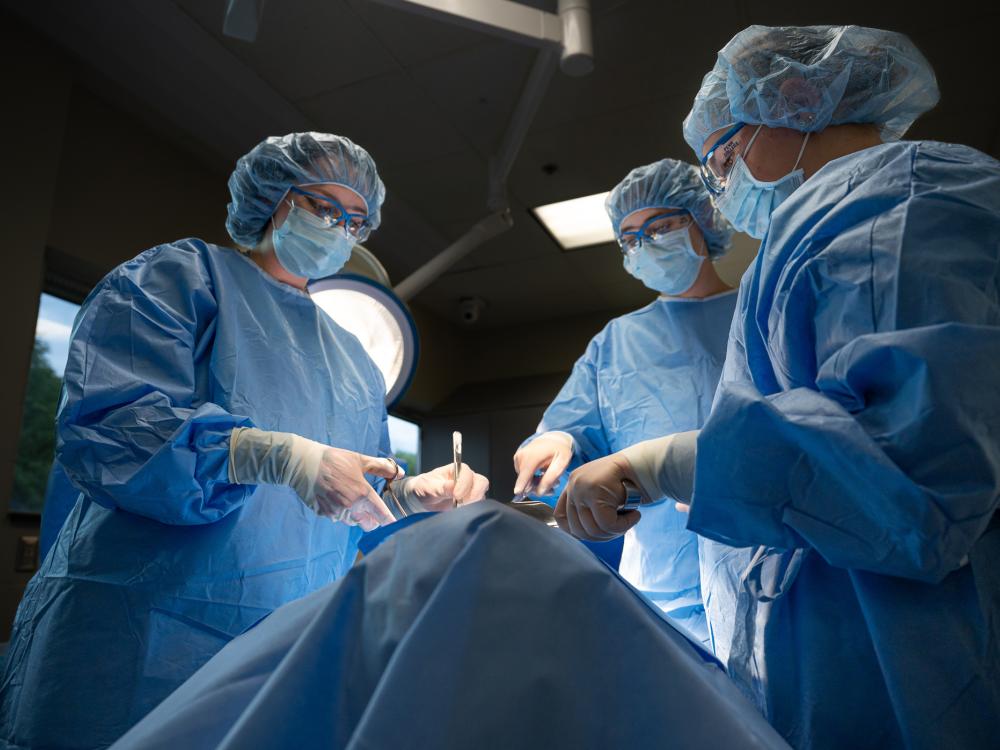 Surgical students in blue scrubs work on a mock patient in mock surgery