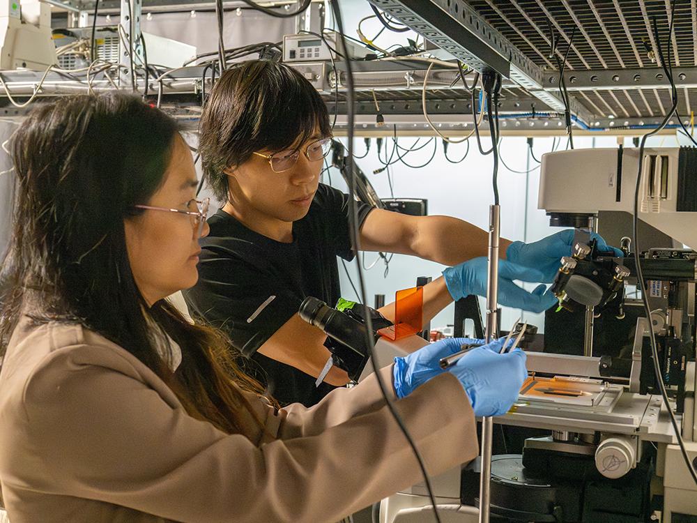 Two individuals manipulate lab equipment in a lab. 