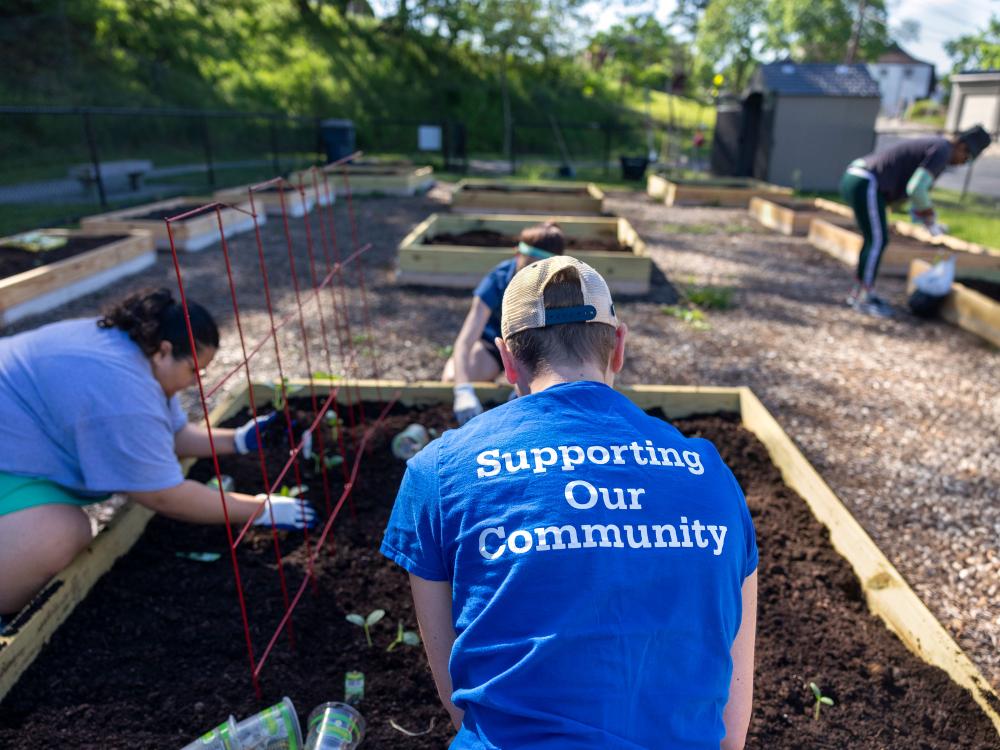 Volunteers in blue Penn State shirts help to set up and maintain a community garden