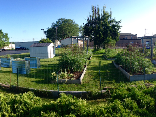 A panoramic view of the Penn State Shenango campus garden