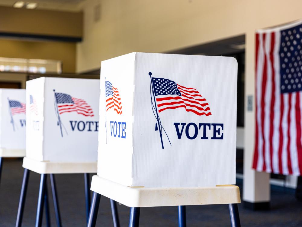 Voting booths set up in rows