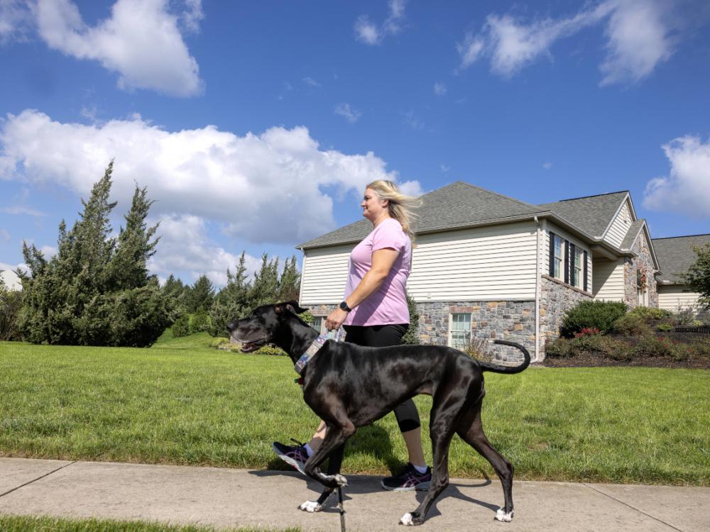 A woman walks her dog on a sidewalk on a sunny day. A house is in the near background.