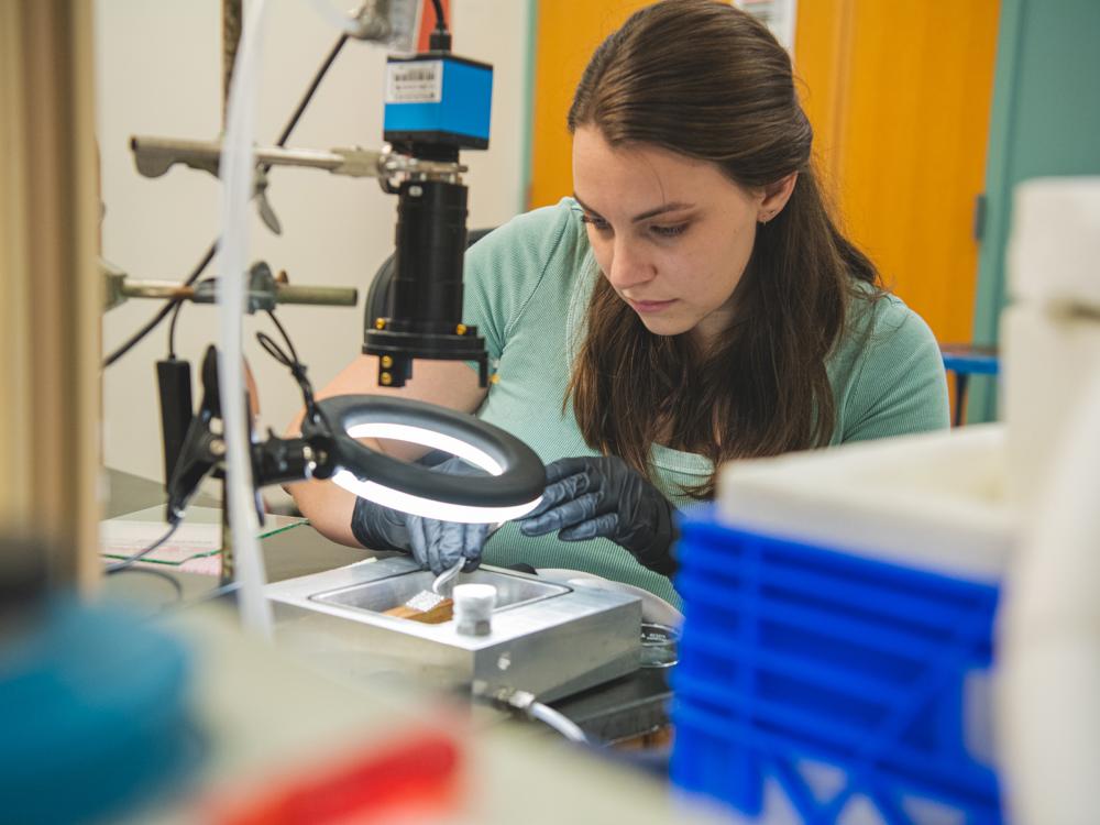 Researcher studies water droplets under a light