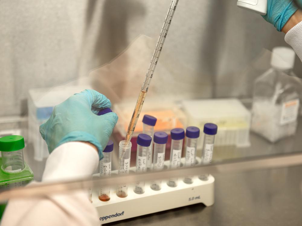 Gloved hands handle small test tubes in lab. 