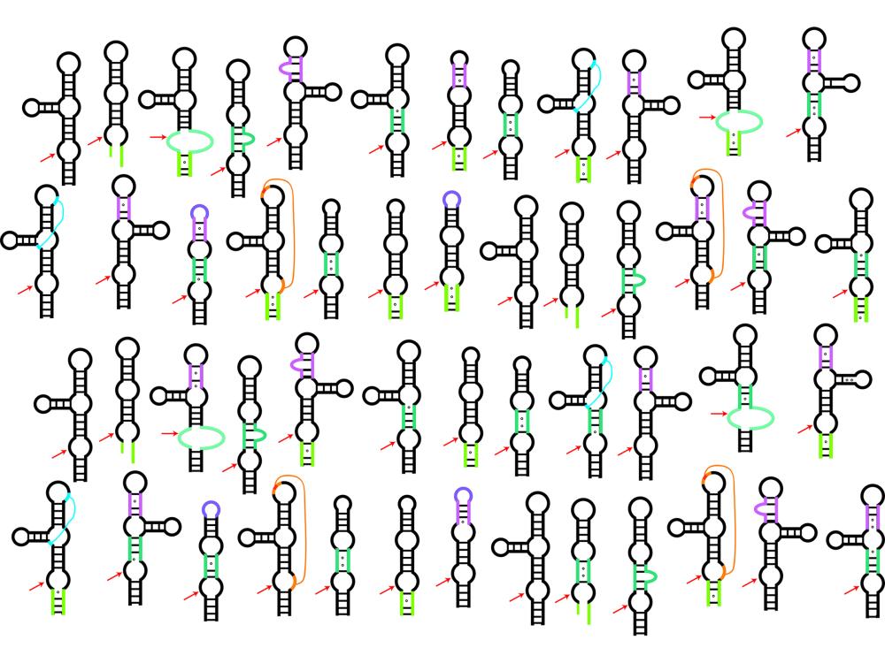 2-dimensional models of twister ribozymes with structural imperfections.