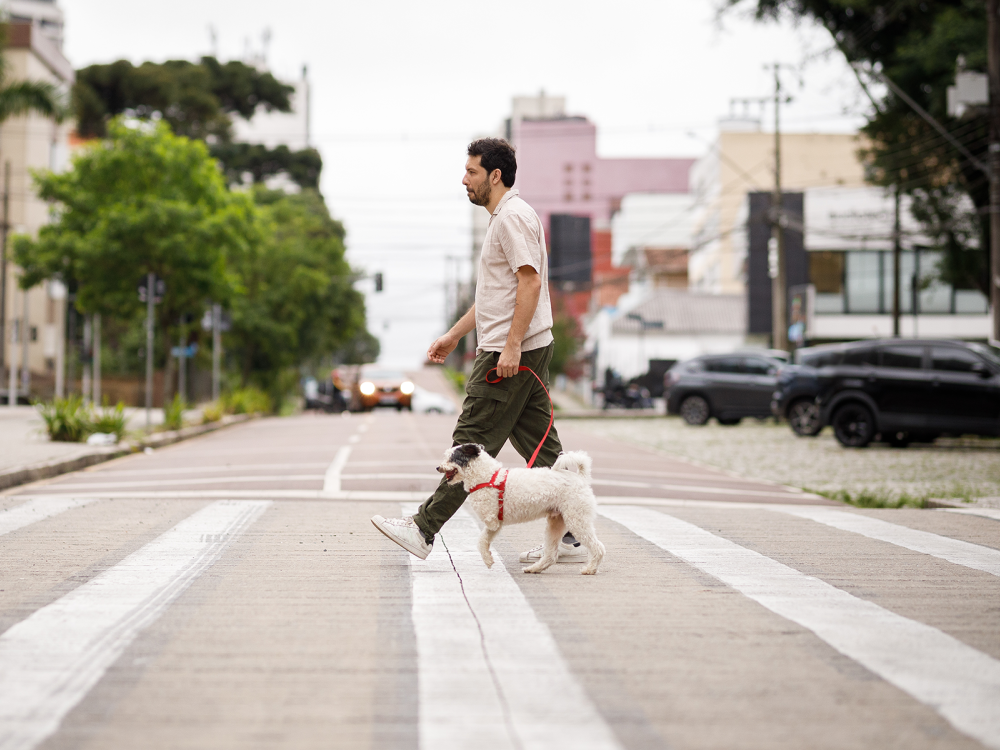 Person walking a dog across a street