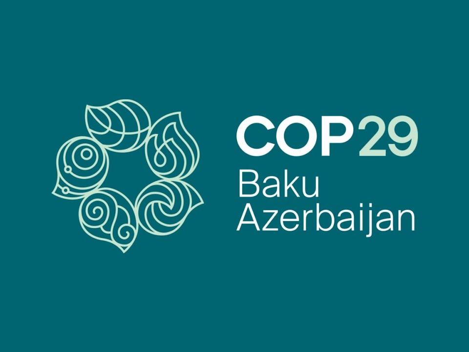 COP29 logo