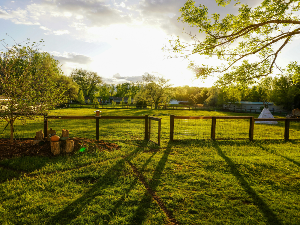 A large back yard with a fence and sun shining across the grass