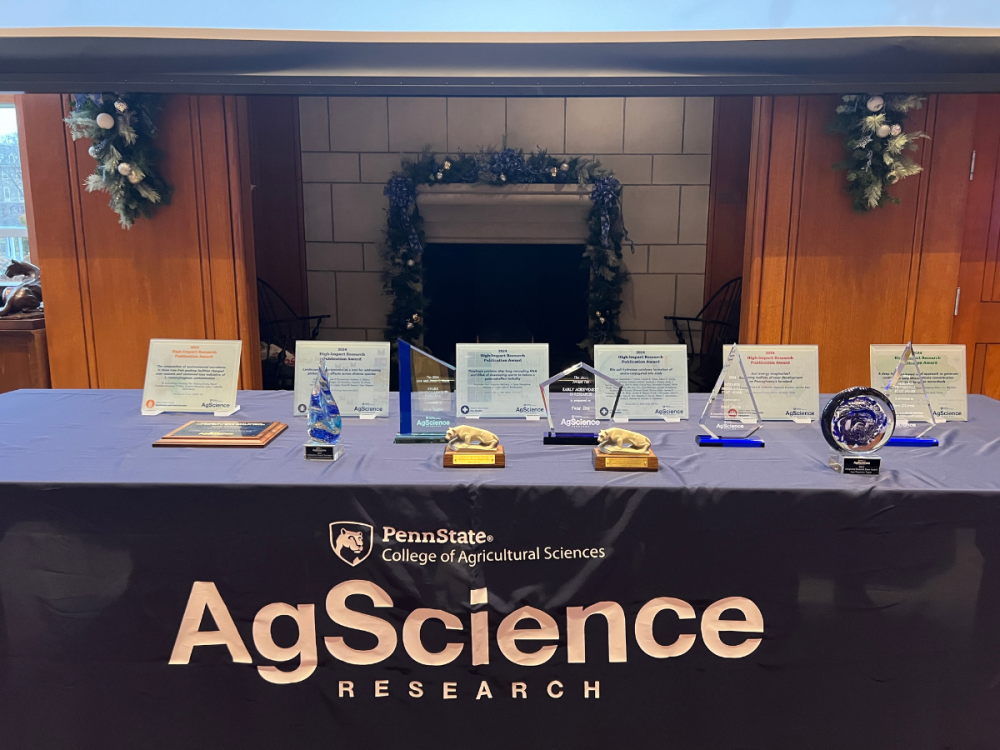 Research awards lined up on a table with a blue tablecloth