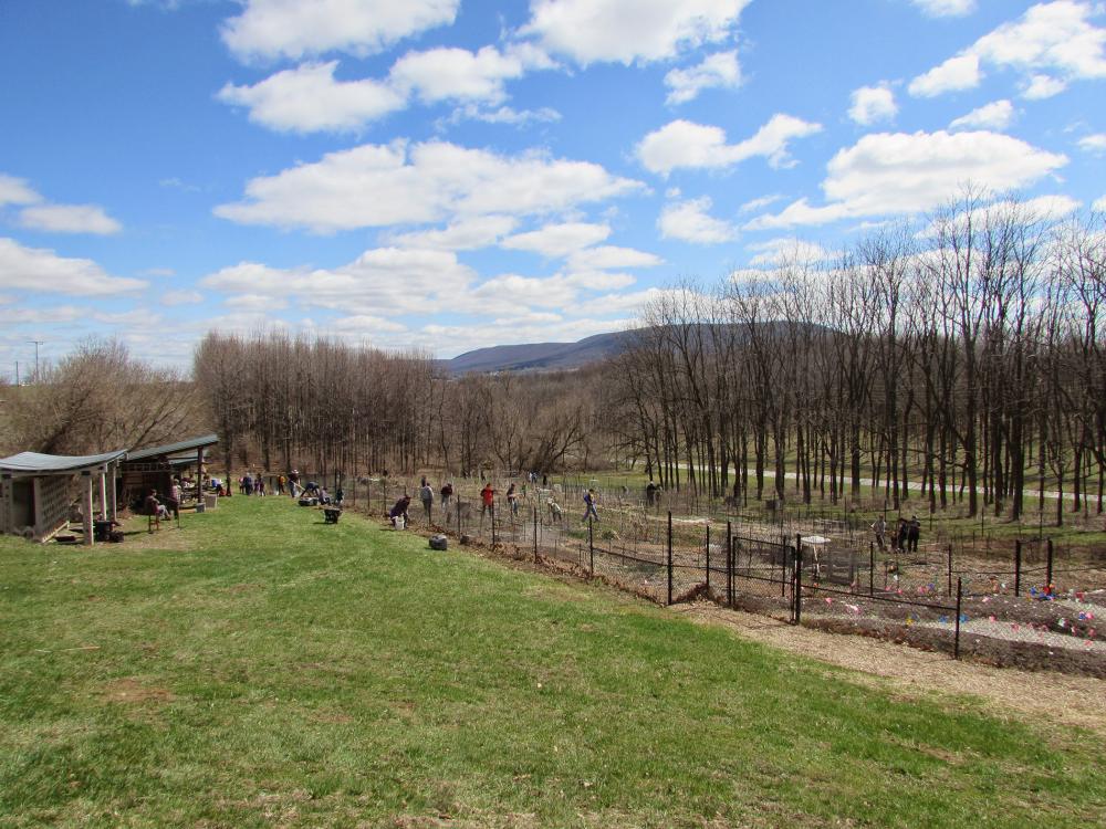 People work in a community garden on a beautiful, sunny day with blue skies