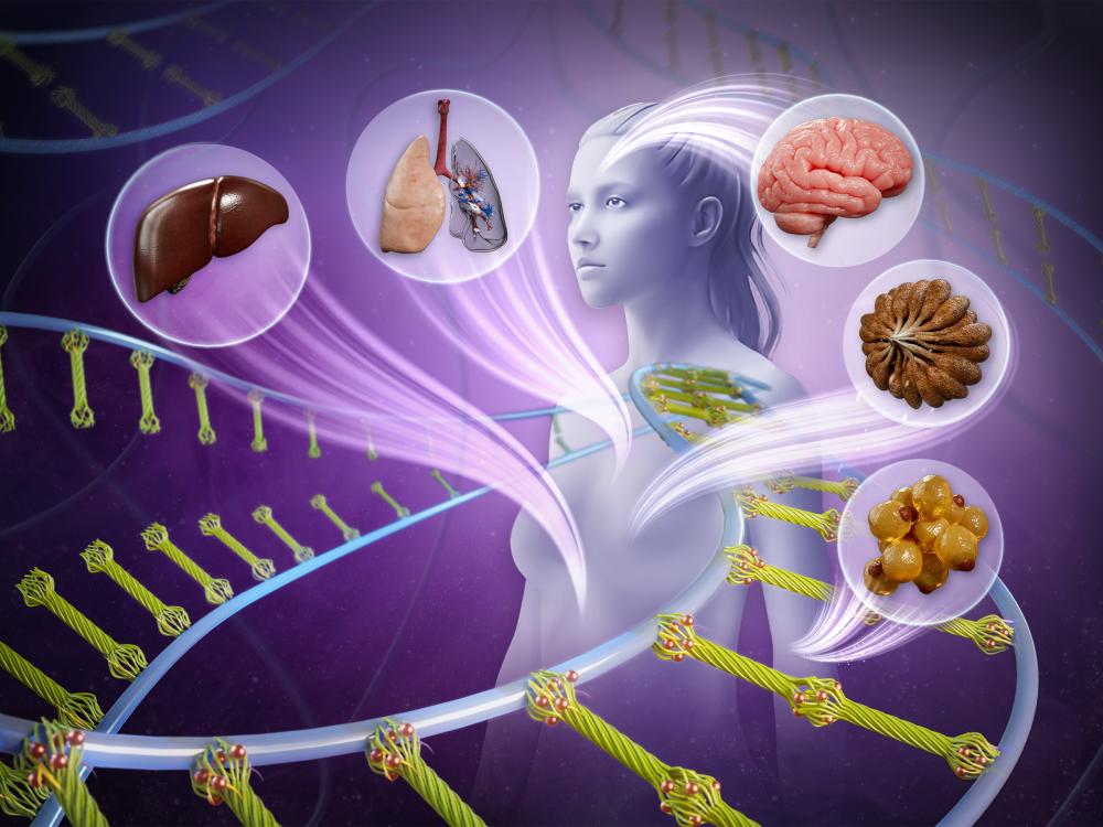 an illustration displaying a human body surrounded by graphical representations regenerative medicine through nanotechnology