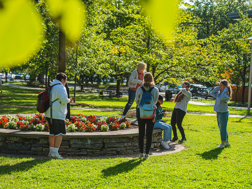 A group of students stand outside on a sunny day, talking on the green lawn