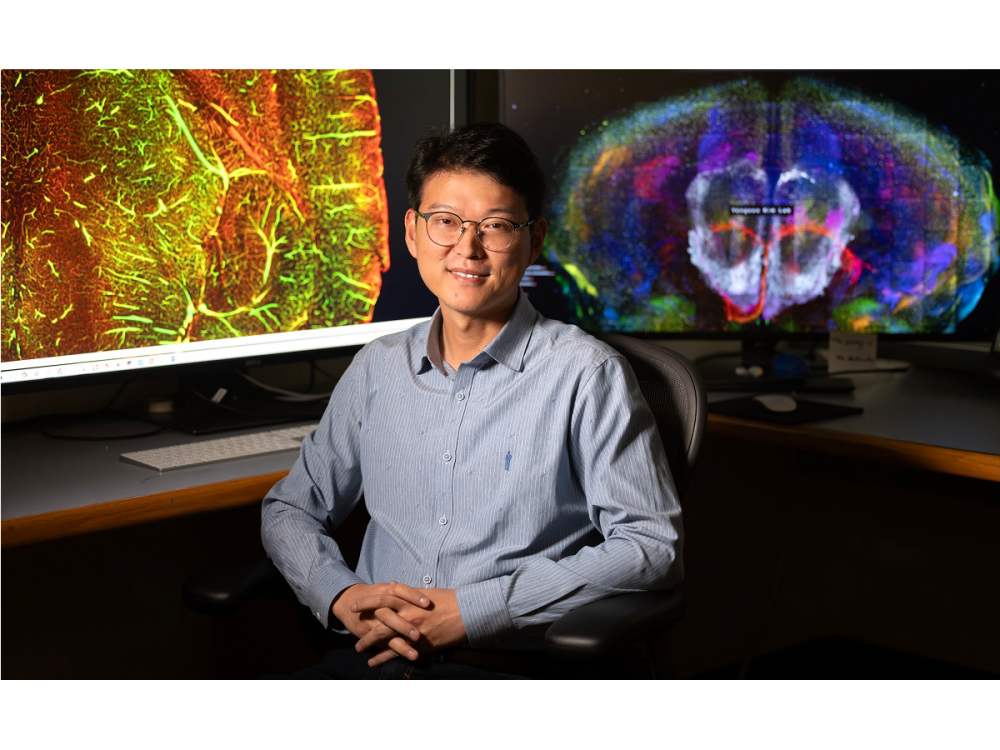 Person sitting in office chair with images of colorful brain scans in the background