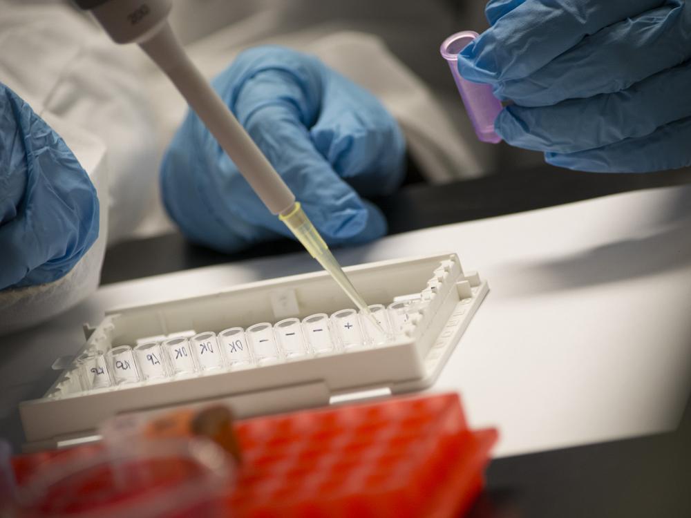 Blue gloved hands using a pipette to transfer liquid into small, labeled test tubes arranged in a white plastic holder. Another gloved hand is holding a small purple container. 
