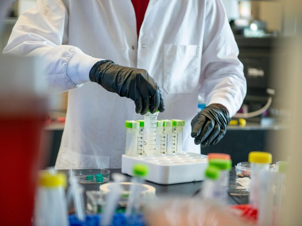 Laboratory work is conducted by a researcher wearing gloves and a white lab coat.