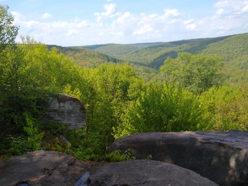 A vista with blue skies, green trees and, in the forefront, giant boulders.