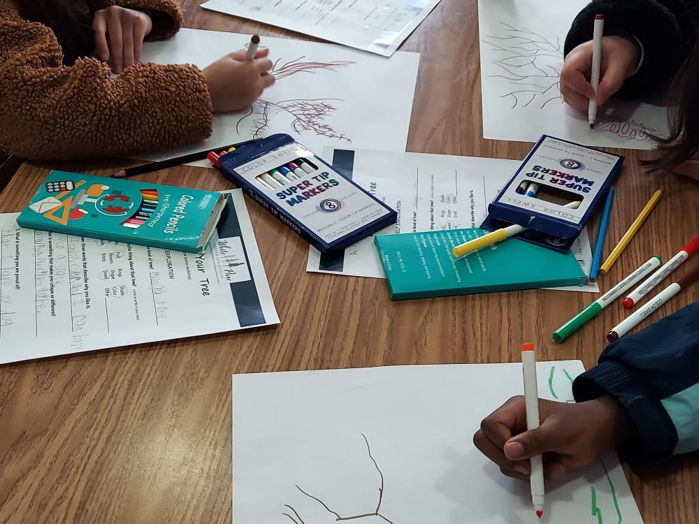 Students draw trees at a table in school