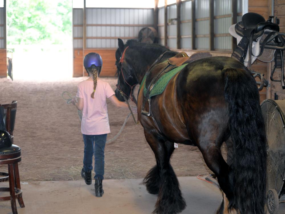 A young blonde girl walks a tall, brown horse toward an open barn door into the sun