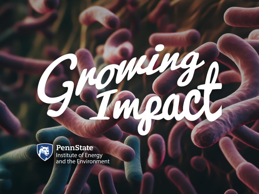 Growing Impact