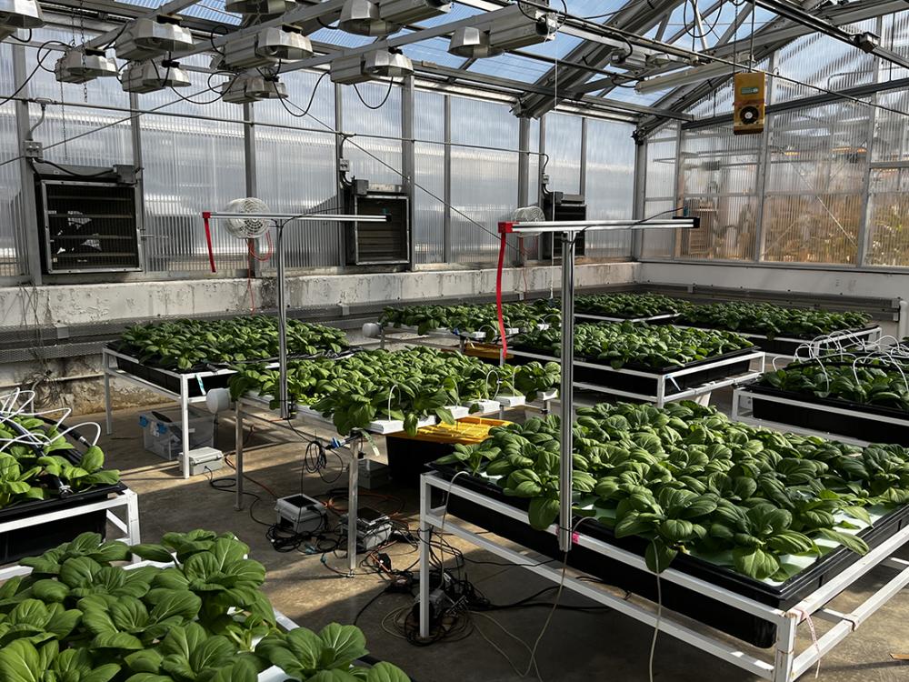 新しいコンピューター・ビジョン・システムで特殊作物のモニタリングが可能に(New computer vision system can guide specialty crops monitoring)