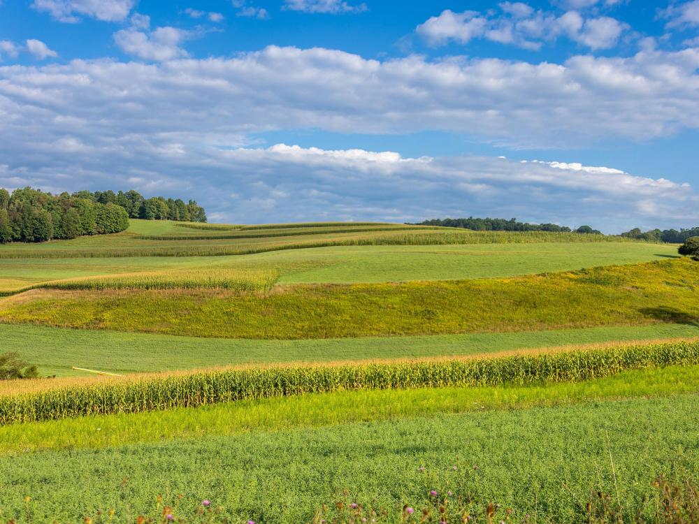 Pennsylvania green grass field under blue sky 