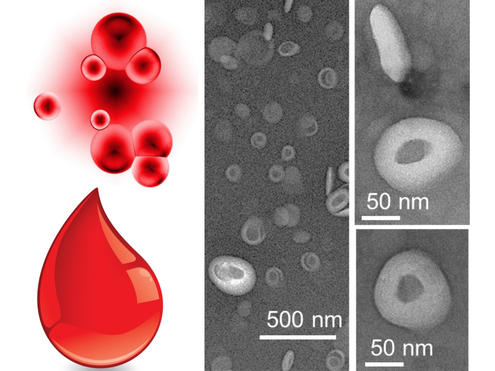 Illustration of synthetic blood product next to microscopic images