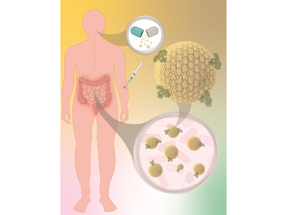 Illustration of antibiotics in the gut