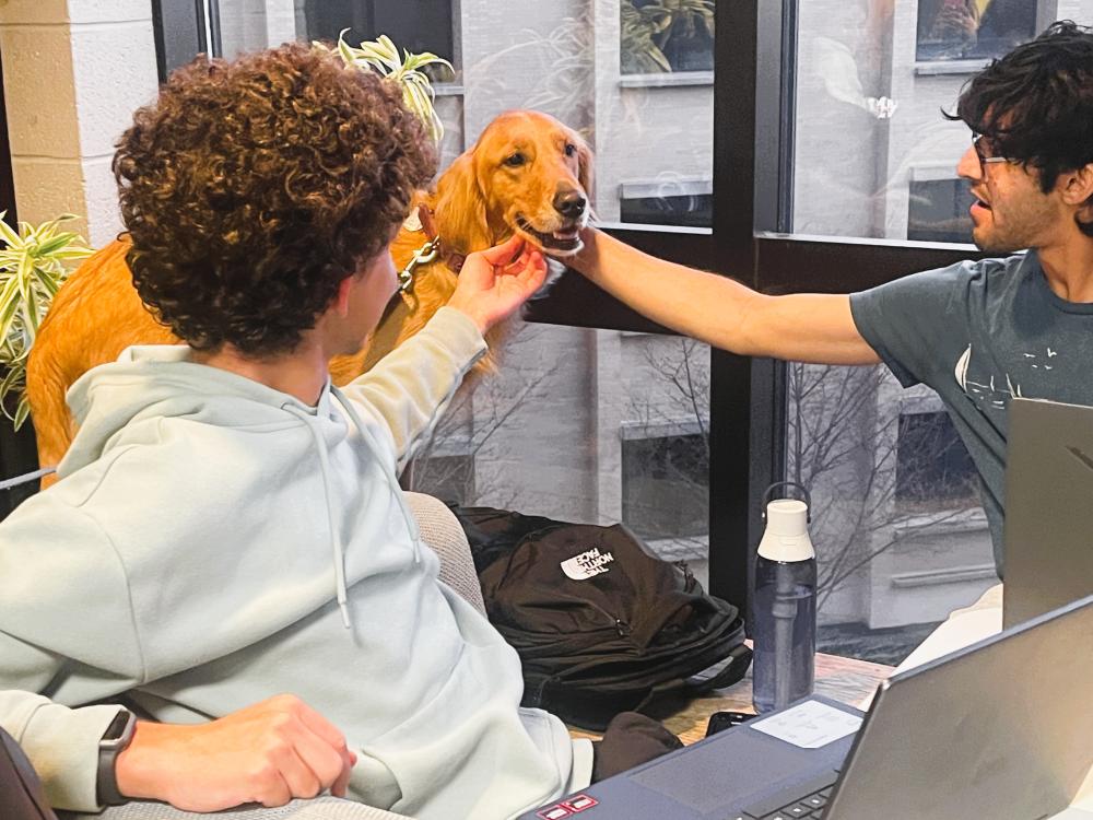 two students, sitting with laptops, are petting a golden retriever 