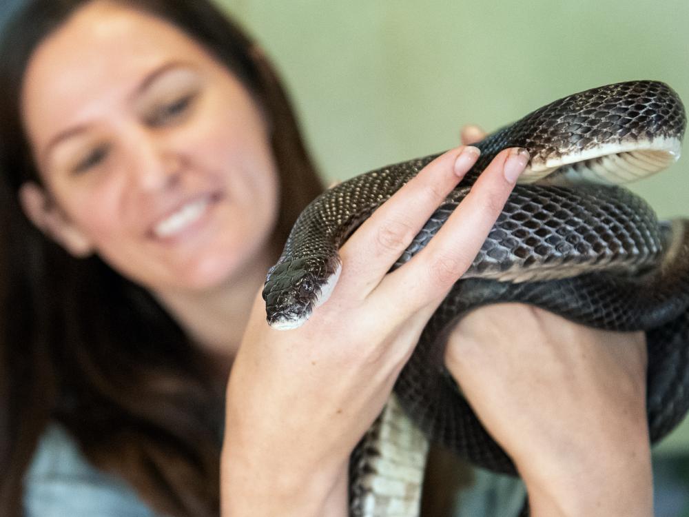 Paige Sutherland with Rat Snake