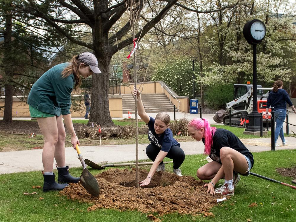 Eco Action students plant a tree