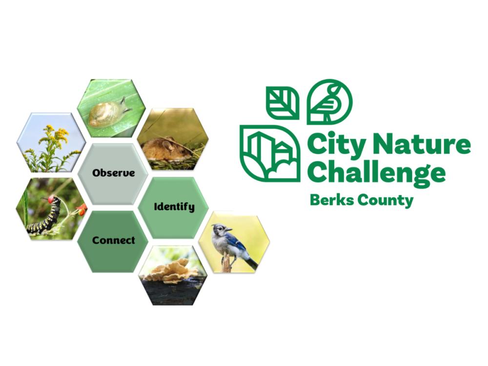City Nature Challenge logo