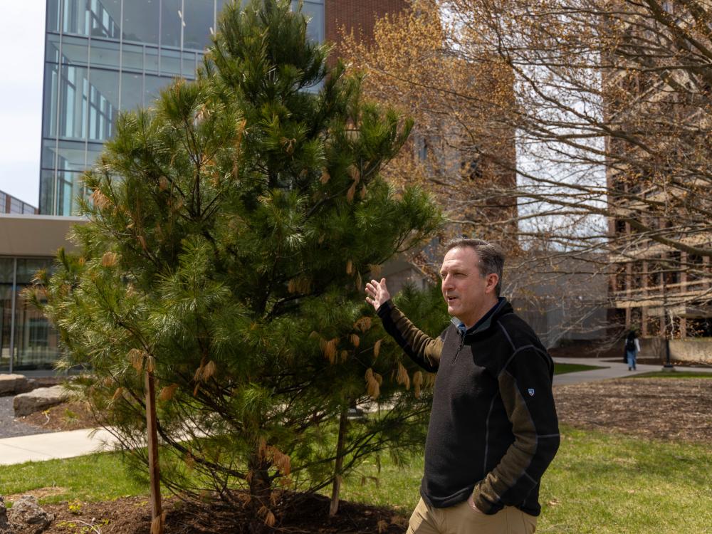 Tom Flynn points to the Great Tree of Peace.
