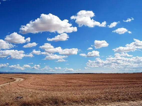 Blue sky over a farm field