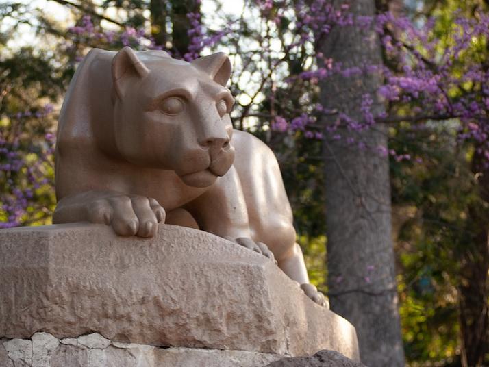 Lion Shrine in front of a blooming tree with purple flowers