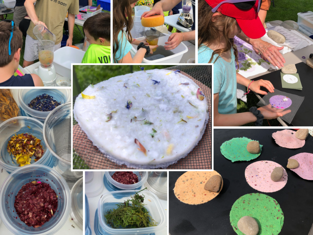 photo collage showing process of children making paper with plant material