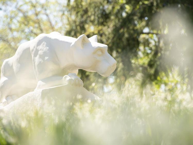 Nittany Lion