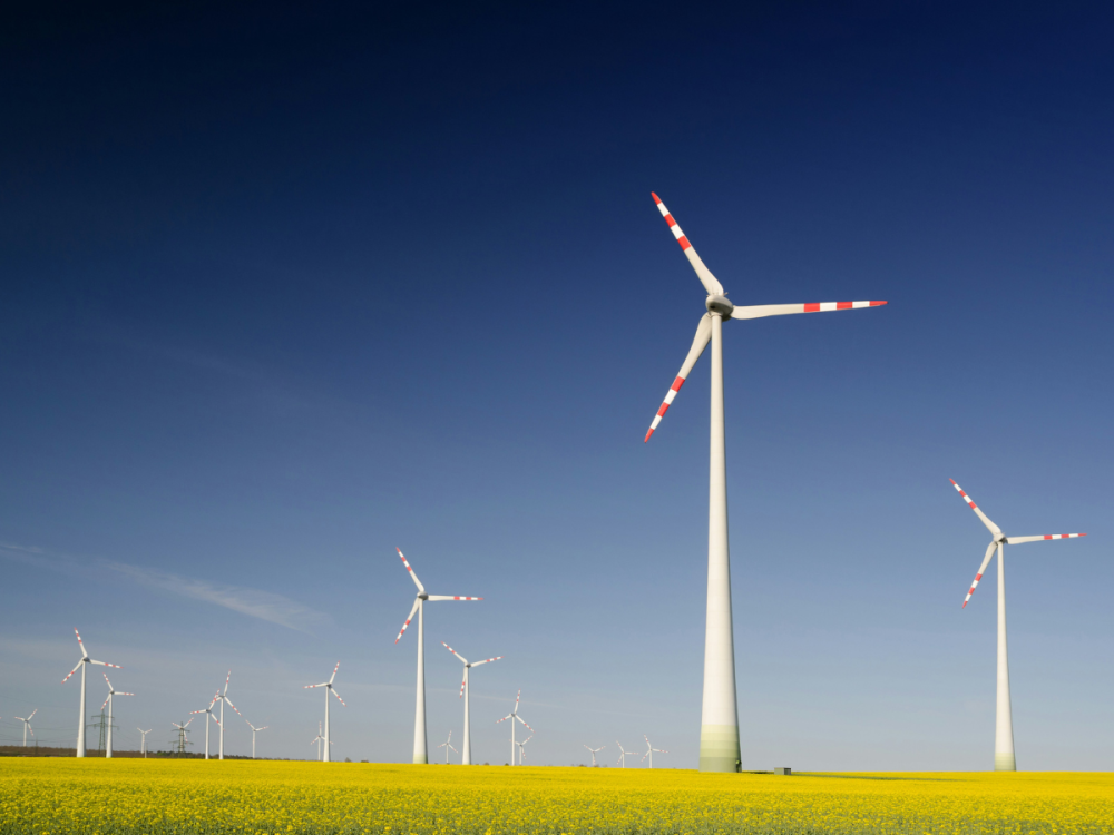 Renewable energy windmills on a hill
