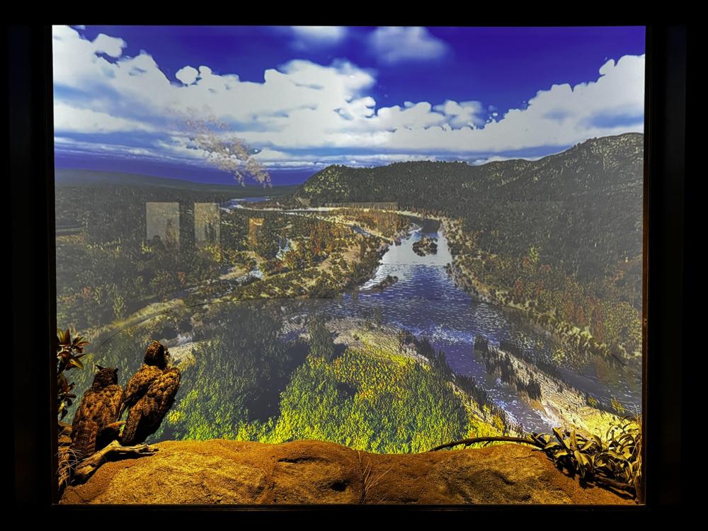 An image of a diorama with two owls overlooking a river and lush valley
